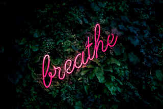 Neon sign Breathe