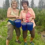 Two Women picking blueberries