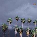 Kite in storm