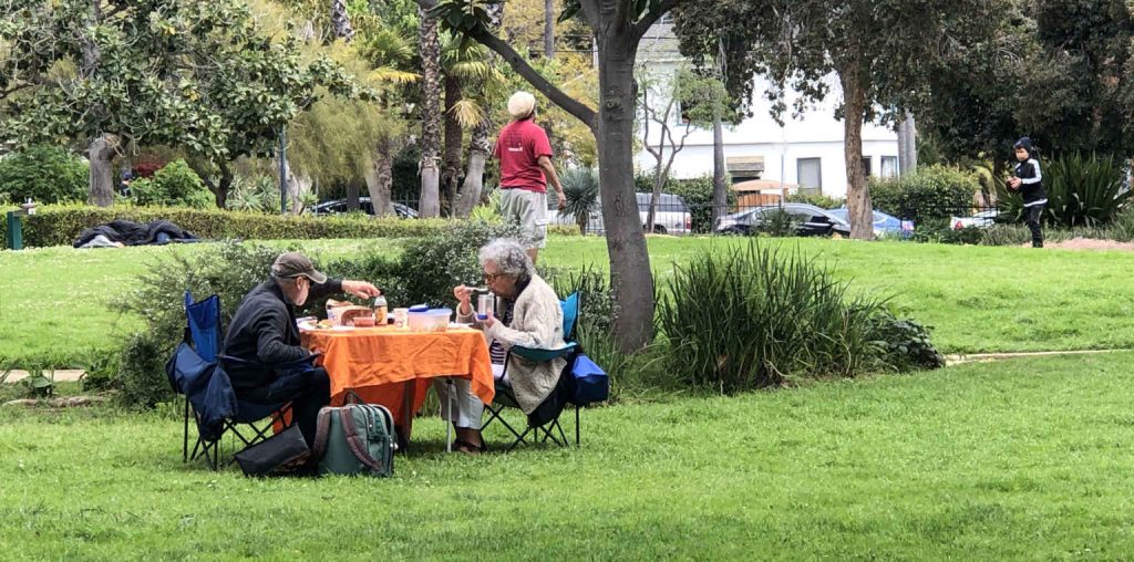Couple dining in the park