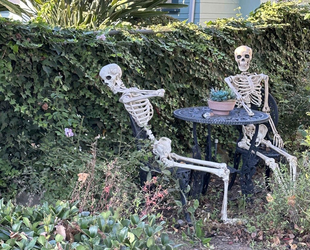 Two skeletons at a table