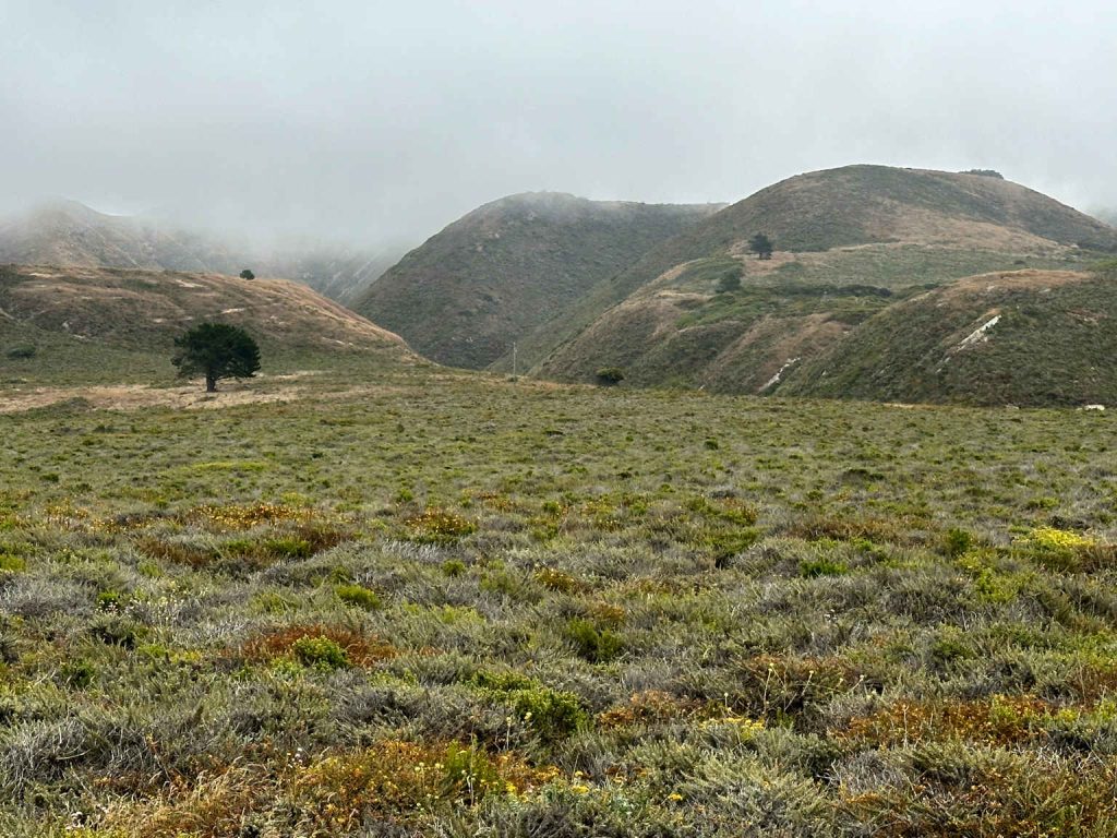 Montana de Oro State Park