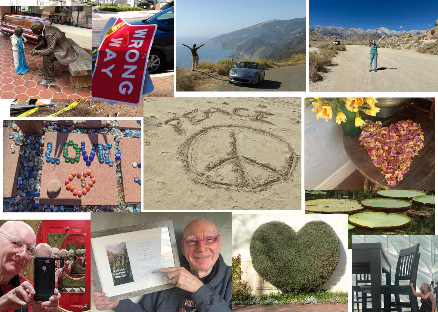 Phil and Maude’s Favorite Blog Photos of 2025