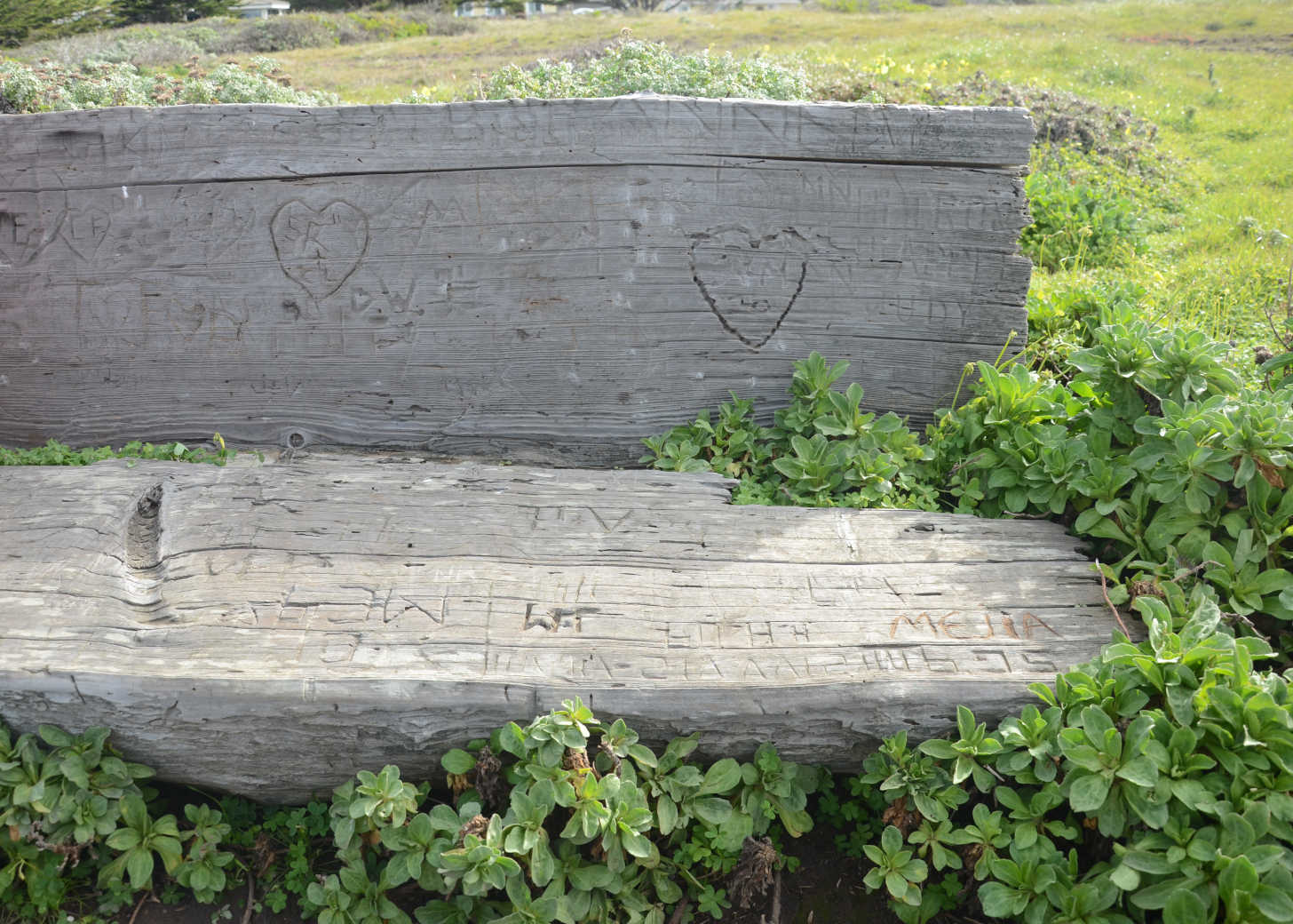 Your Relationship Expectations Make You Miss What’s Happening