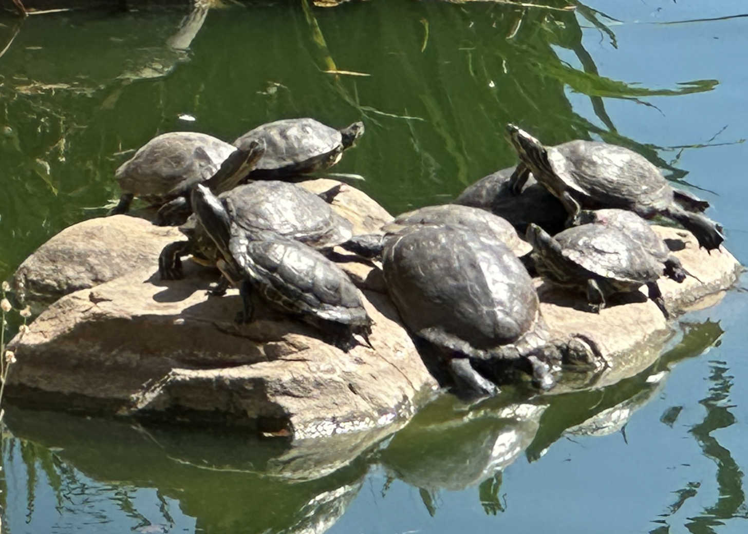 The Boombox Guy Taught Us a Secret To Peace In Relationships